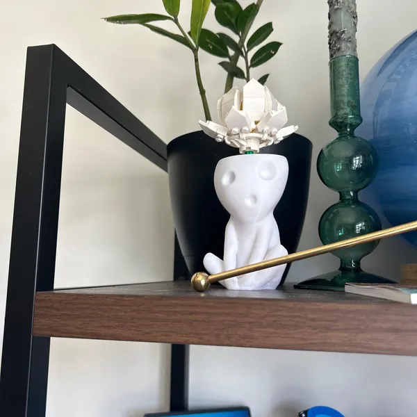 Tree Spirit Succulent Plant Pot