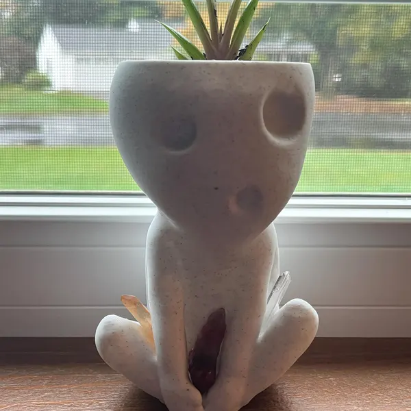 Tree Spirit Succulent Plant Pot