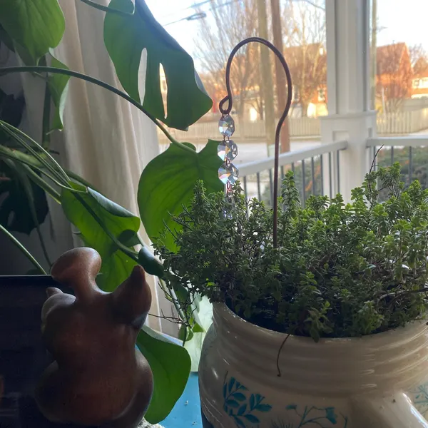 🌱Plant Stake Sun Catchers