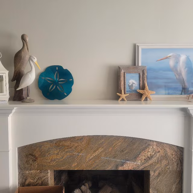 🌊Metal Sand Dollar Nautical Decor