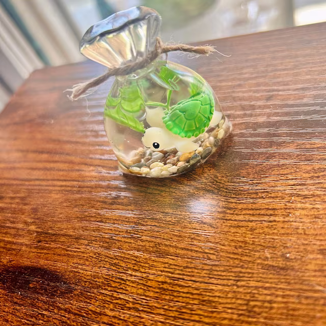 🐟Tiny Cute Goldfish Bagged