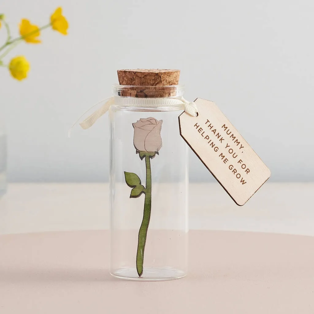 💌Message Bottle Mother's Day Gift🎁
