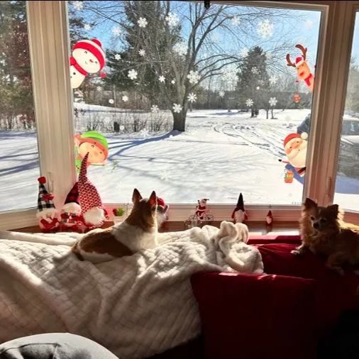 ❄Christmas Window Clings