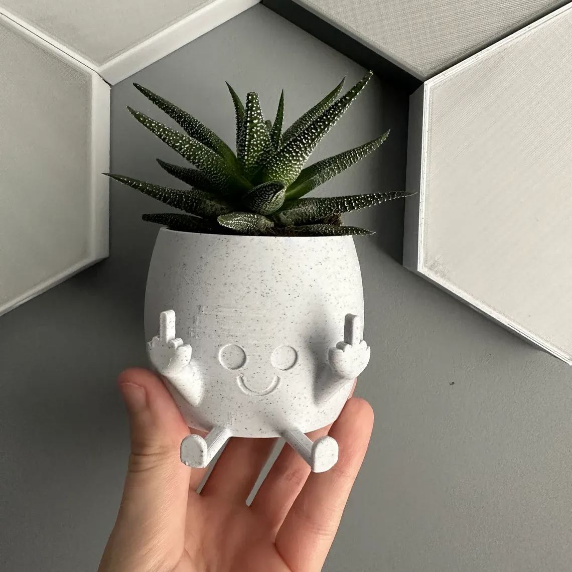 Middle Finger Happy Planter in ALL Colors Kawaii Planter, Planter With  Face, Planter With Middle Finger, Succulent Planter, Indoor Planter 