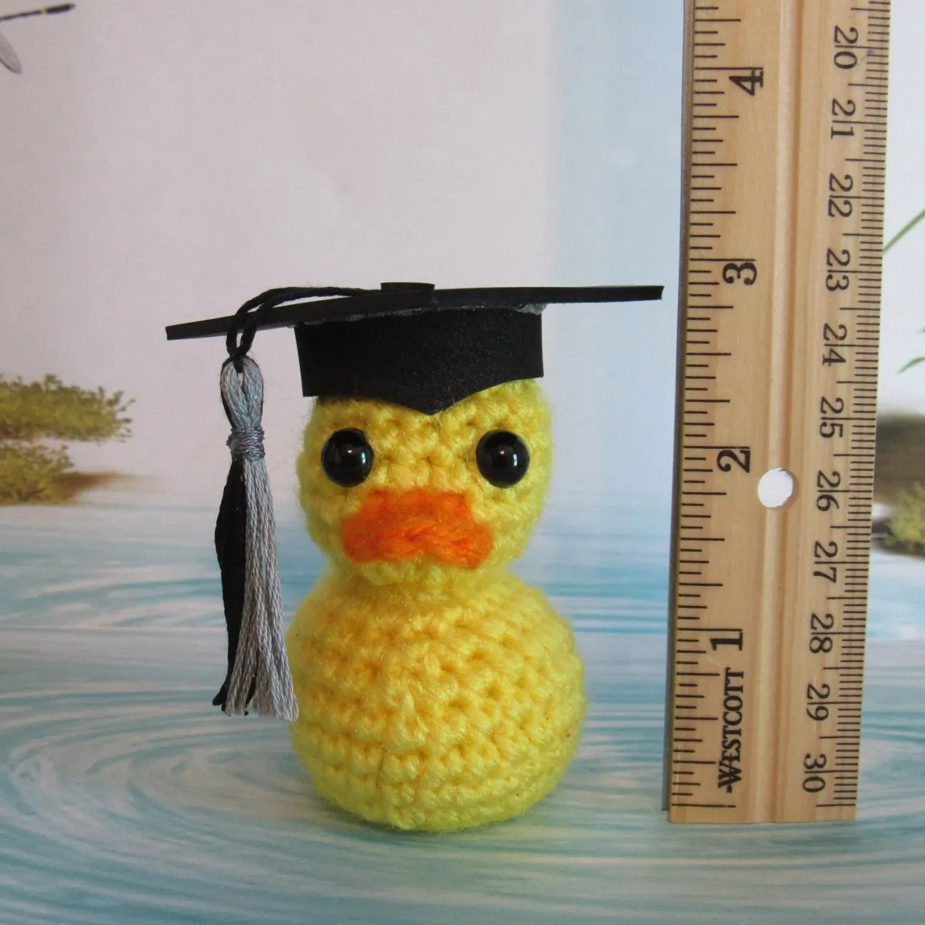 🎓️Graduation Duck
