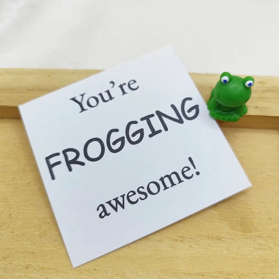 Cute Little Animal Pocket Hug