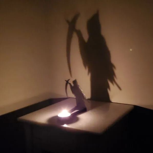 👻Spooktacular Halloween Shadow Decor