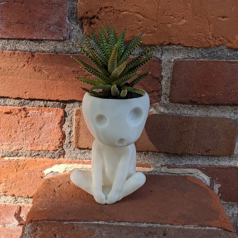 Tree Spirit Succulent Plant Pot