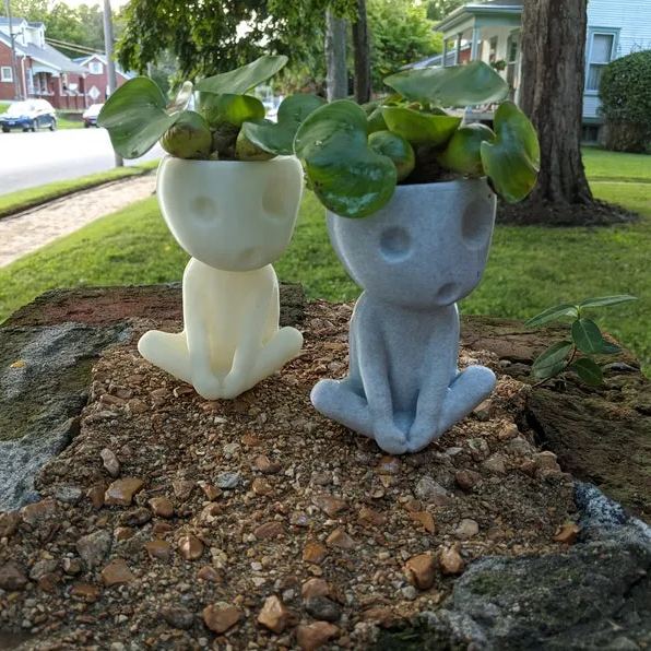 Tree Spirit Succulent Plant Pot