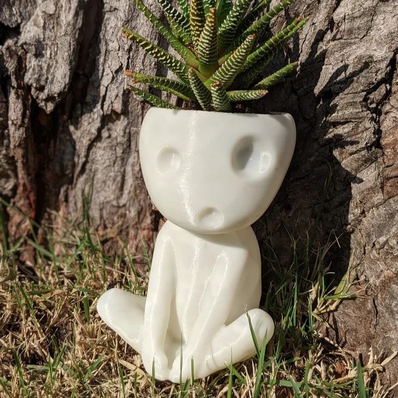 Tree Spirit Succulent Plant Pot