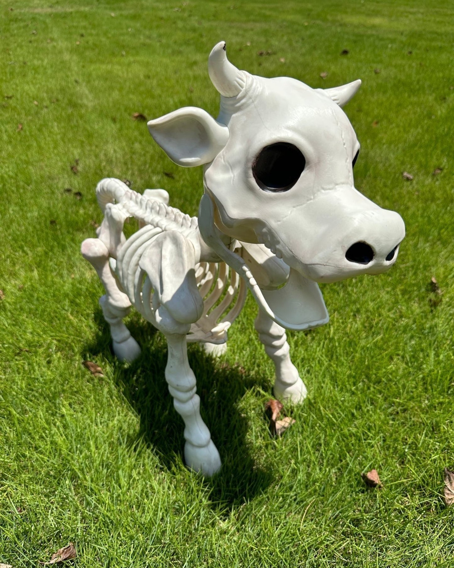Accesorio decorativo de Halloween de esqueleto de vaca y caballo