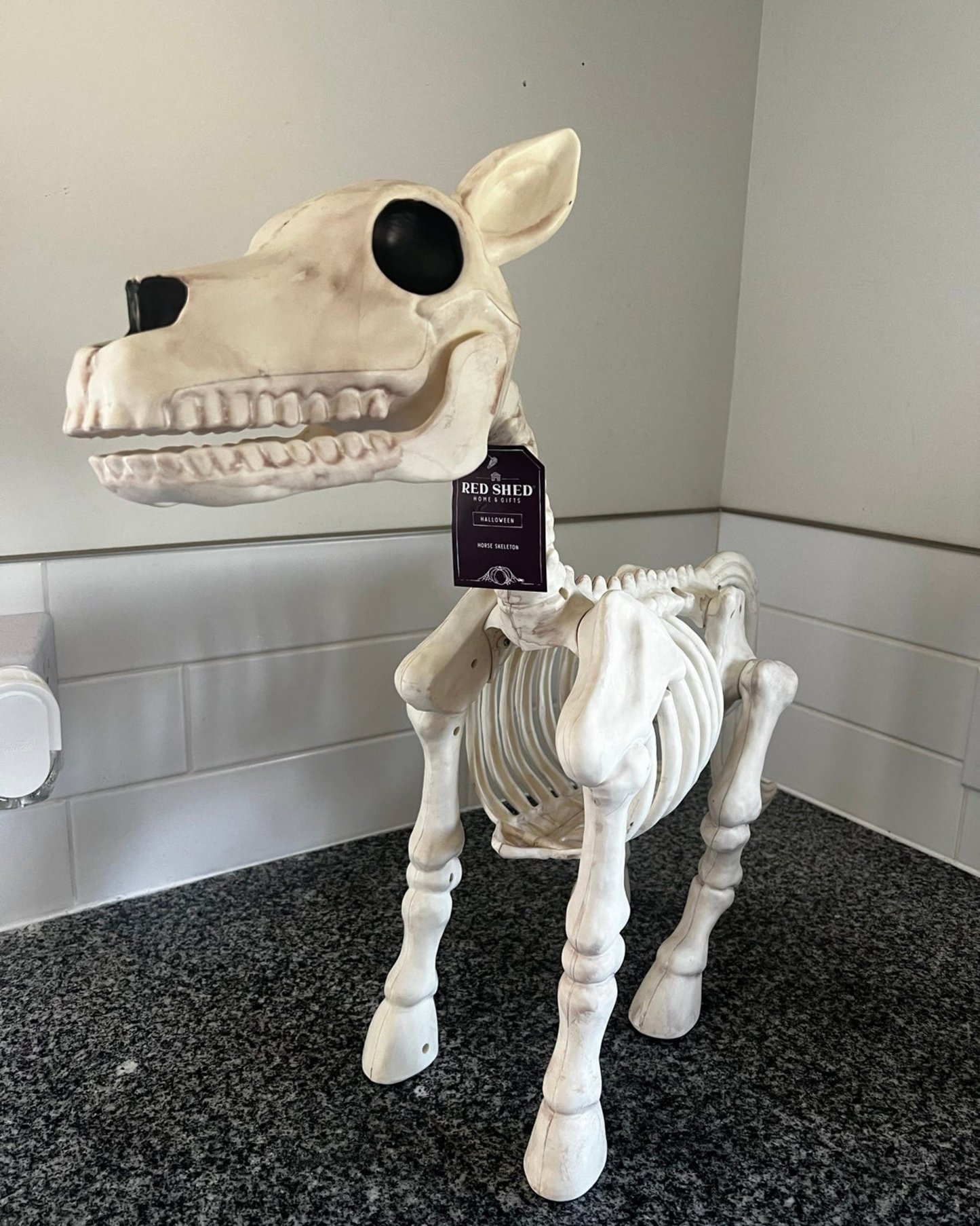 Accesorio decorativo de Halloween de esqueleto de vaca y caballo