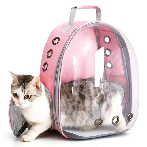 Transparent Cat Backpack