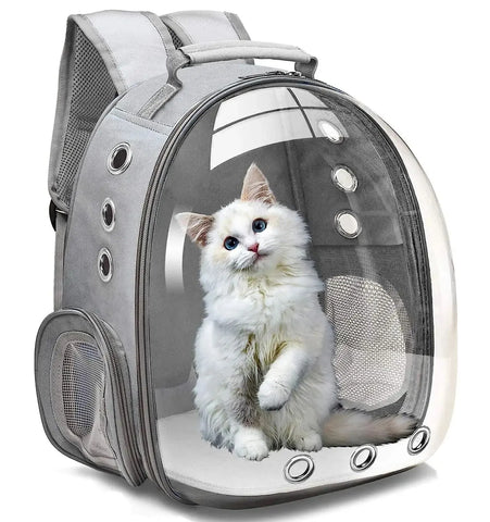 Transparent Cat Backpack