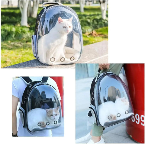 Transparent Cat Backpack