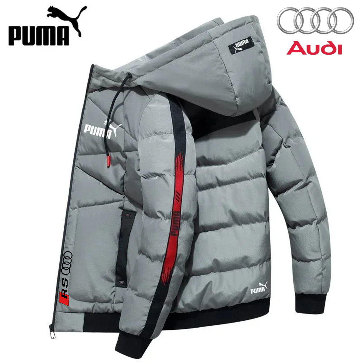 Puma audi 2024