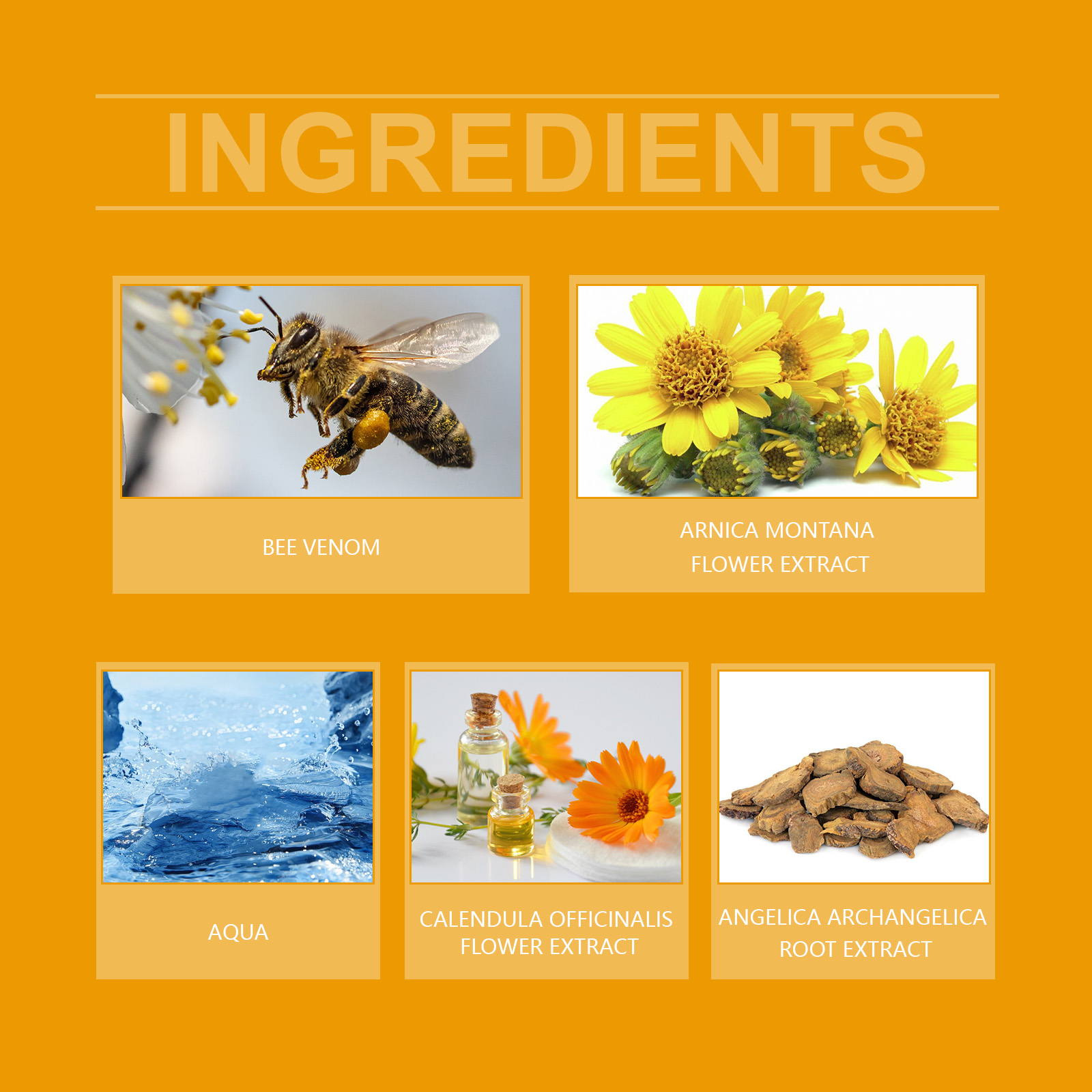 Bee Venom Joint Pain Cream Massage To Relieve Joint Discomfort Knee