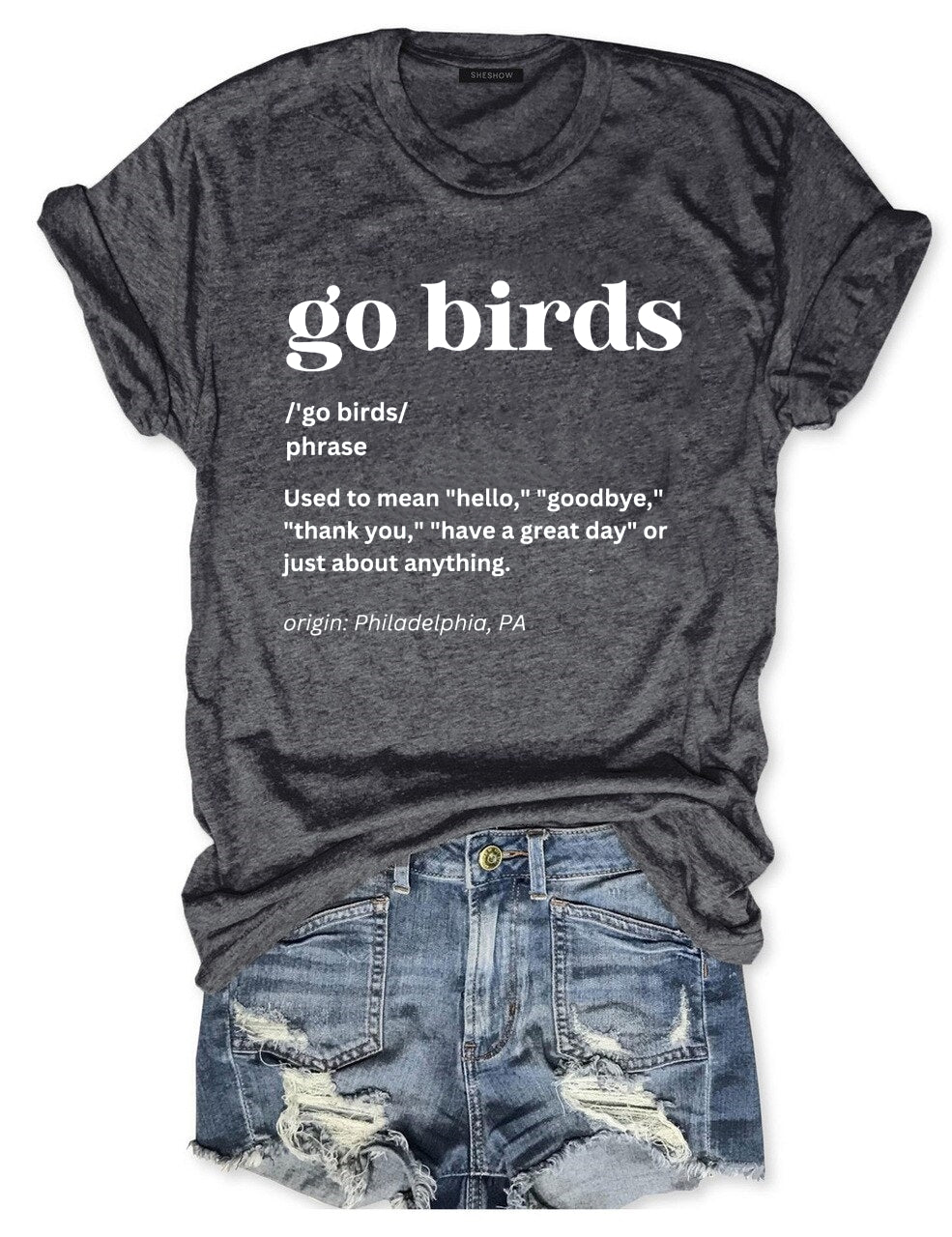 Go Birds Definition Football T-Shirt