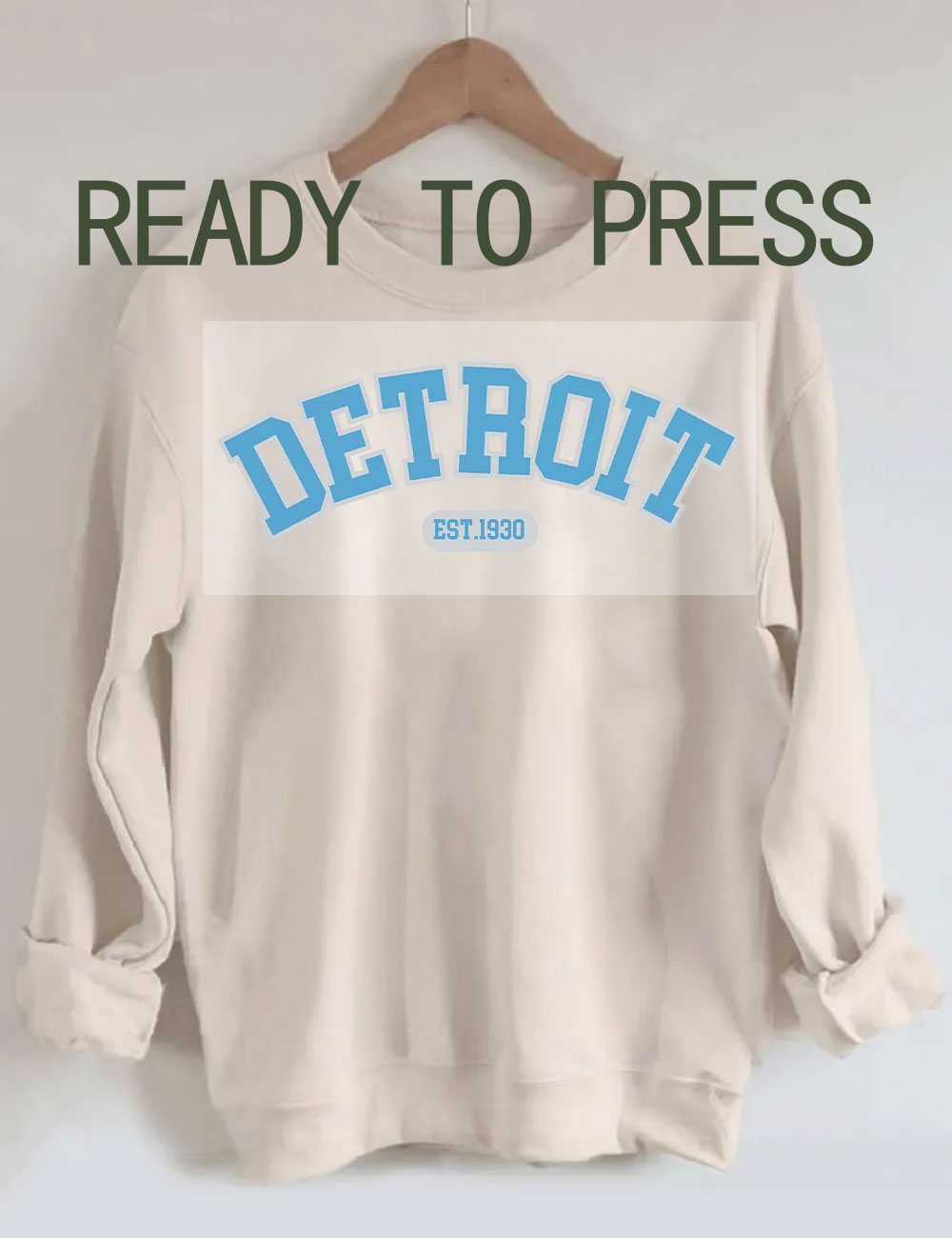 Vintage Detroit Lions DTF Heat Transfer