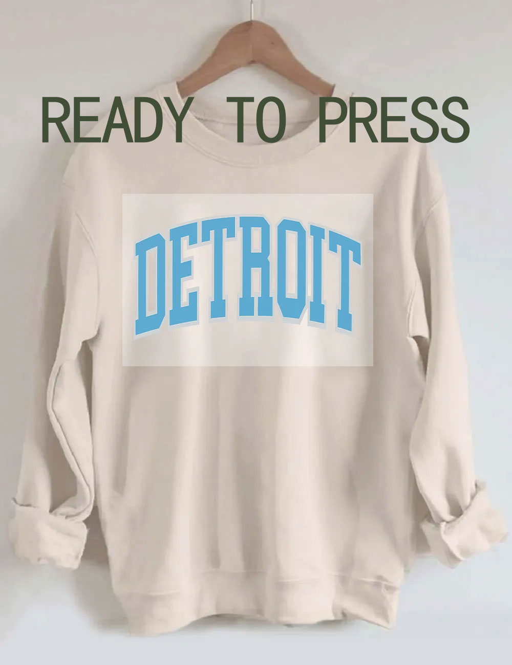 Vintage Detroit Lions DTF Heat Transfer