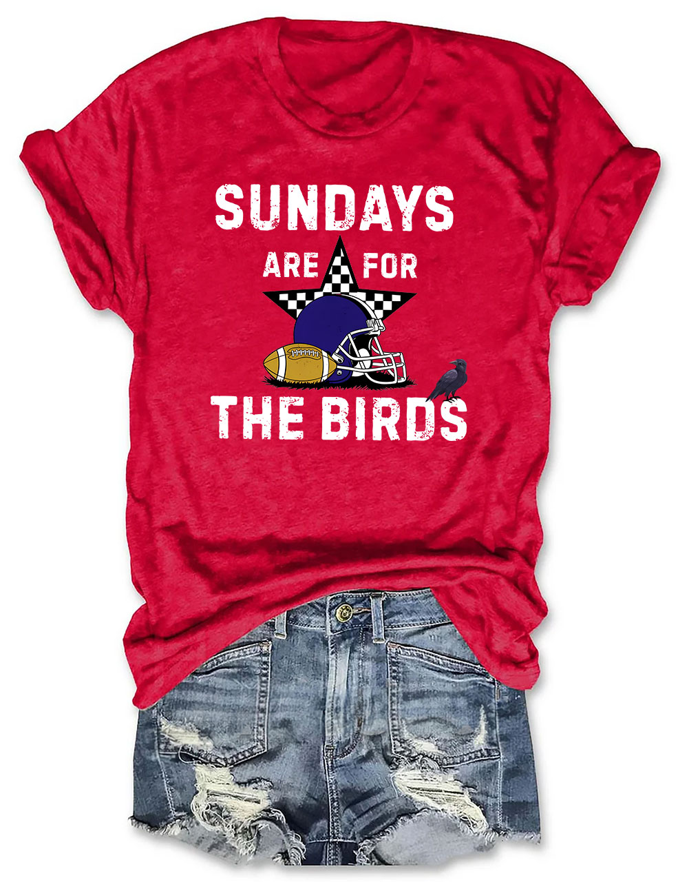 Sundays Are For The Birds Baltimore Funny Football T-Shirt