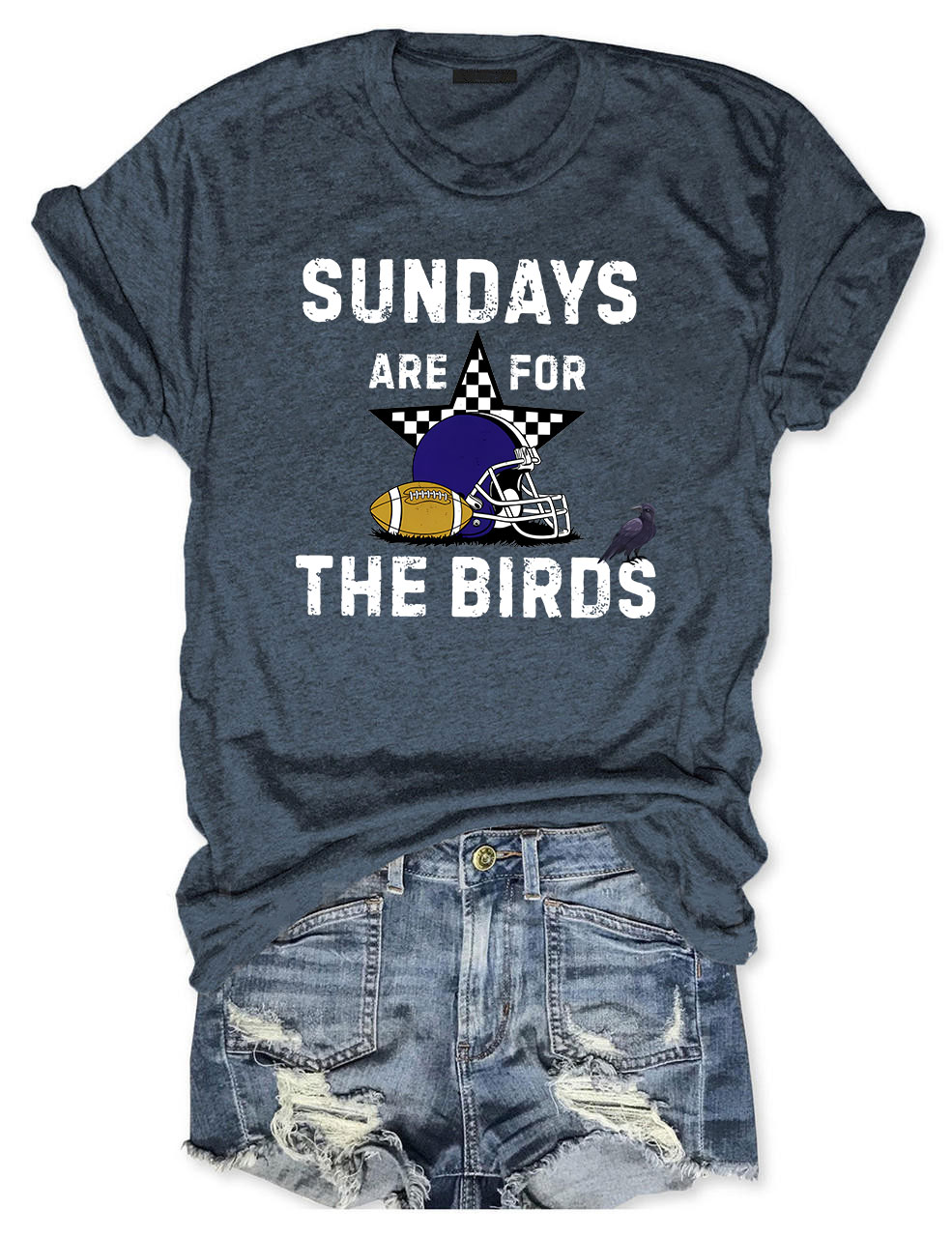 Sundays Are For The Birds Baltimore Funny Football T-Shirt