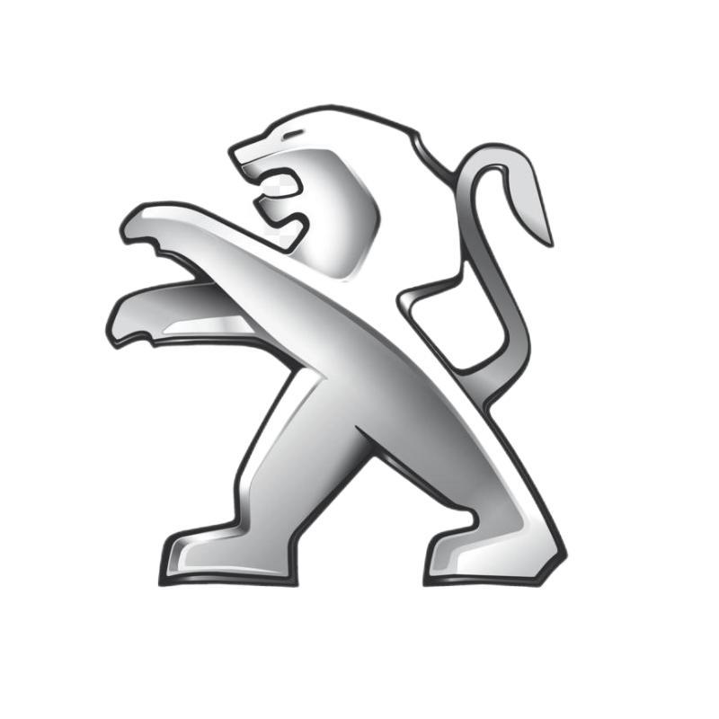 (5 szt.) Naklejka z logo samochodu świecąca w ciemności