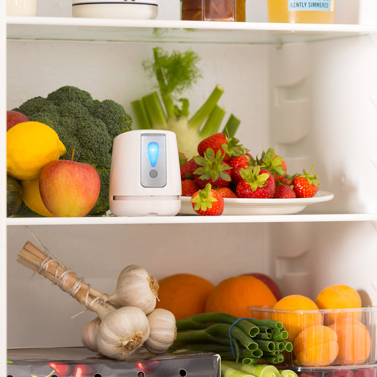 Airganix Cool Cloud 3