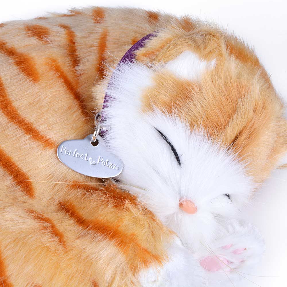 Dementia cat toy uk best sale