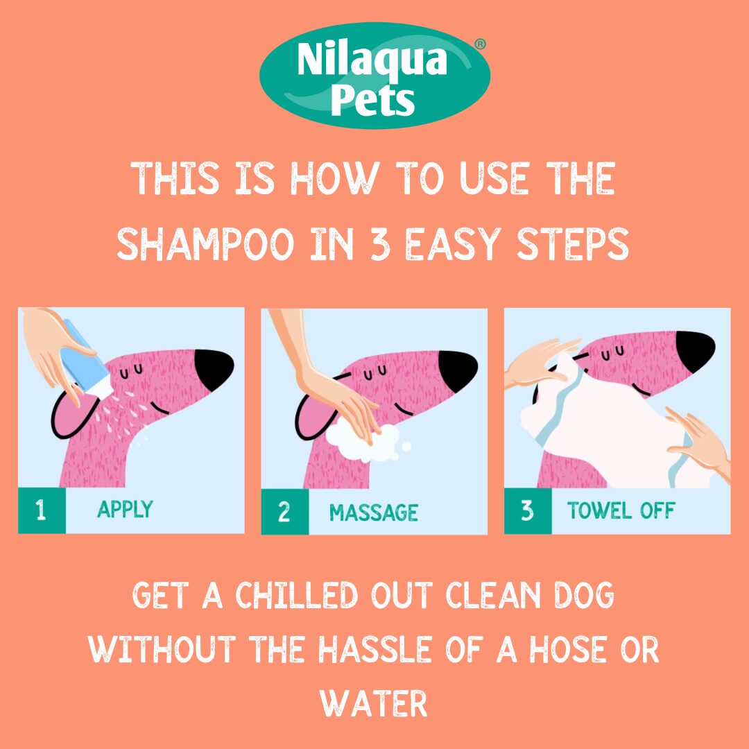 Nilaqua Pets Poop Shampoo is easy to use in 3 steps: apply, massage and towel off. This waterless dog shampoo removes fox poo and badger mess fast, leaving your dog clean, calm and fresh with no rinsing needed.
