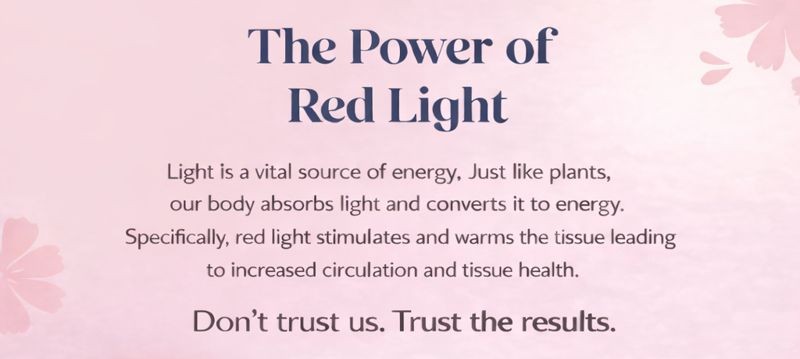 Vivify Red Light Therapy Pelvic Toner