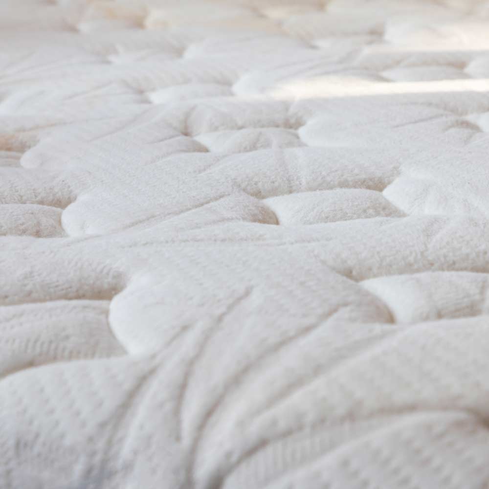 Professional Strength Mattress Cleaning Pack