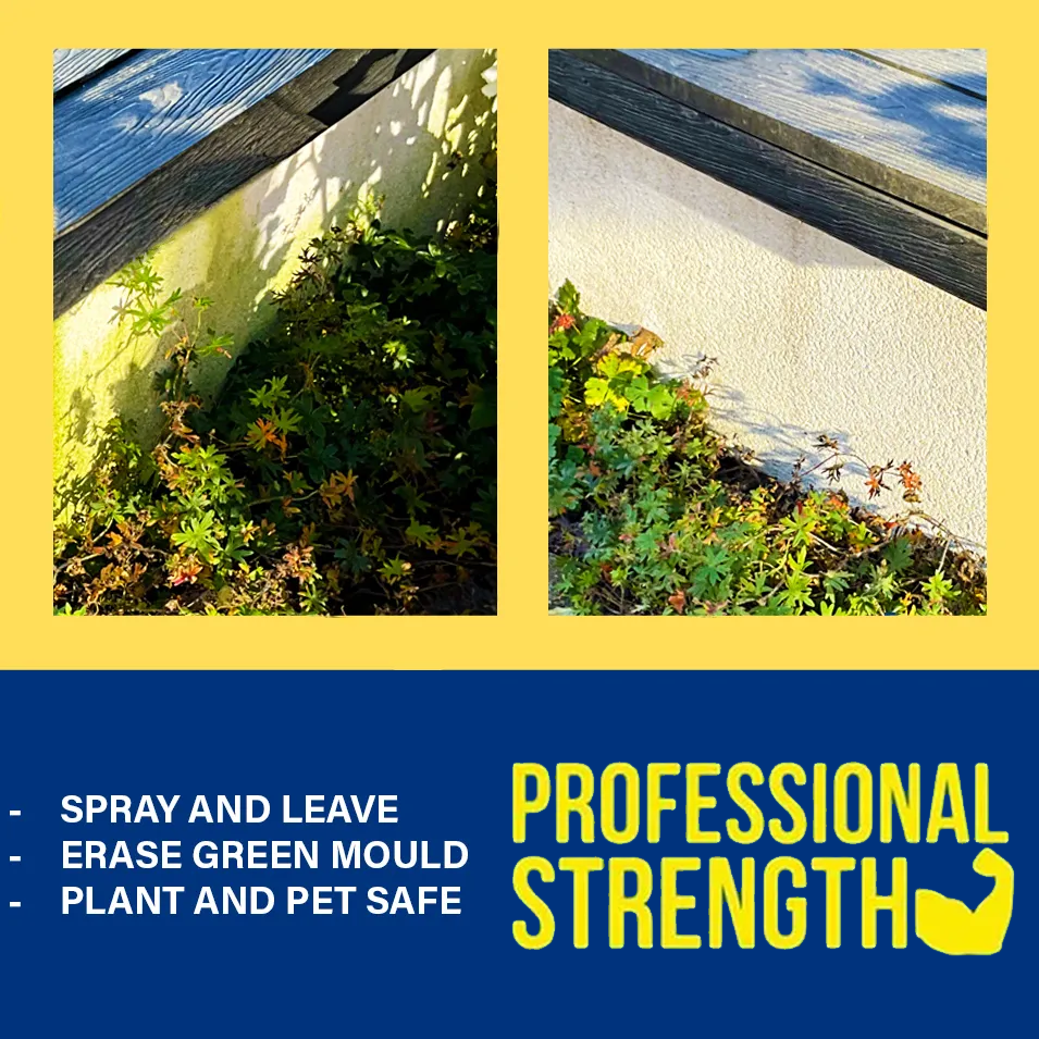 Professional Strength Fungicidal Wash Green Algae & Mould Remover
