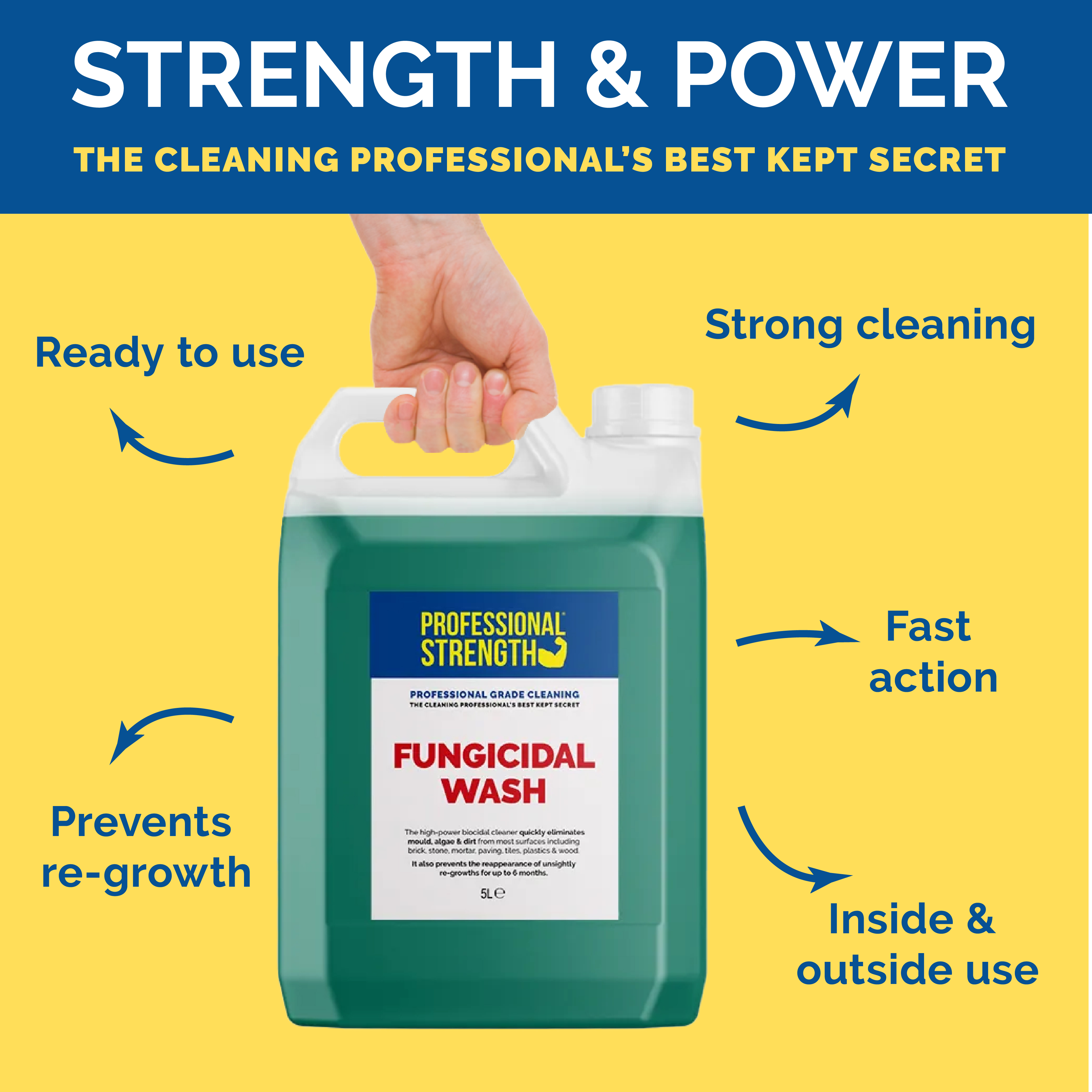 Professional Strength Fungicidal Wash Green Algae & Mould Remover