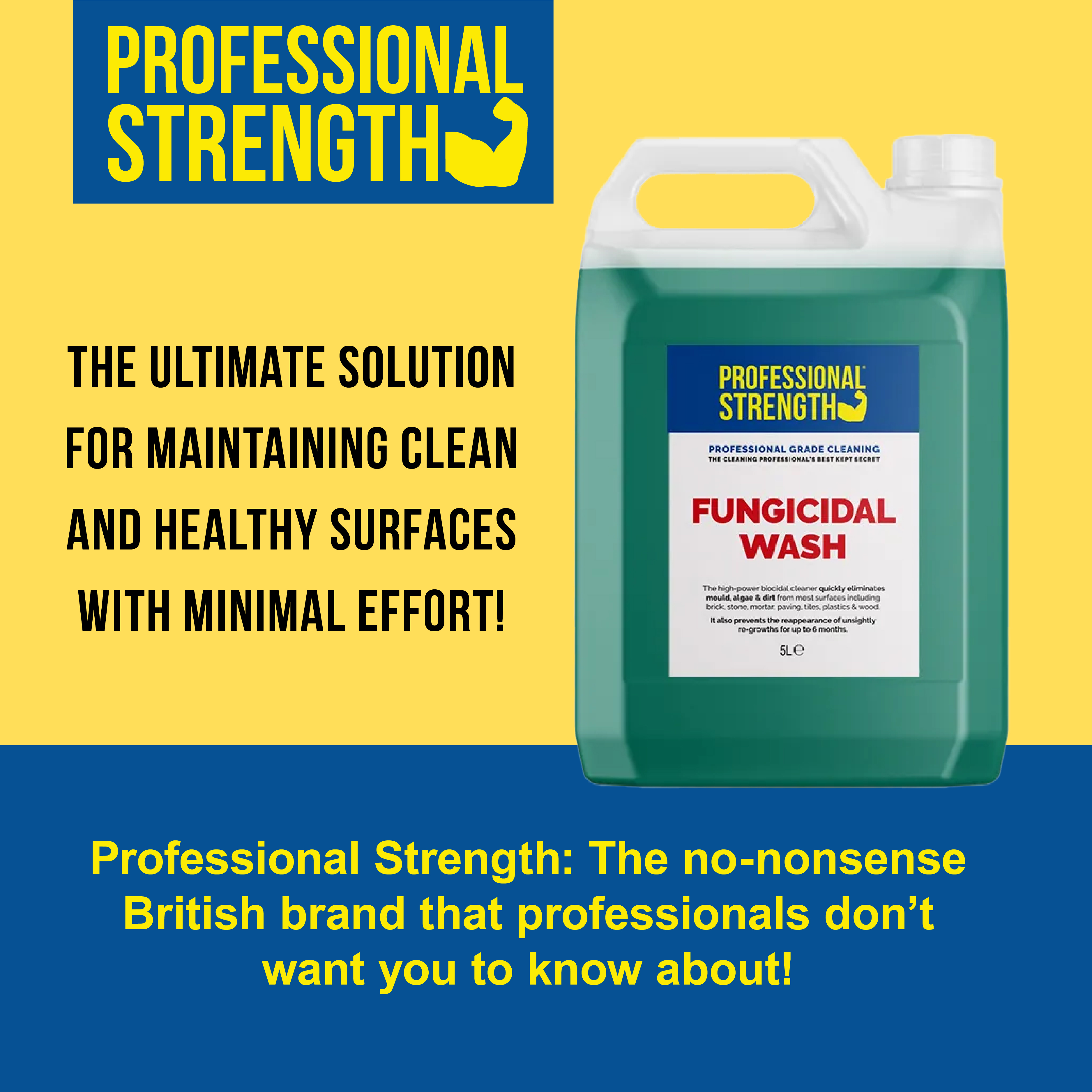 Professional Strength Fungicidal Wash Green Algae & Mould Remover