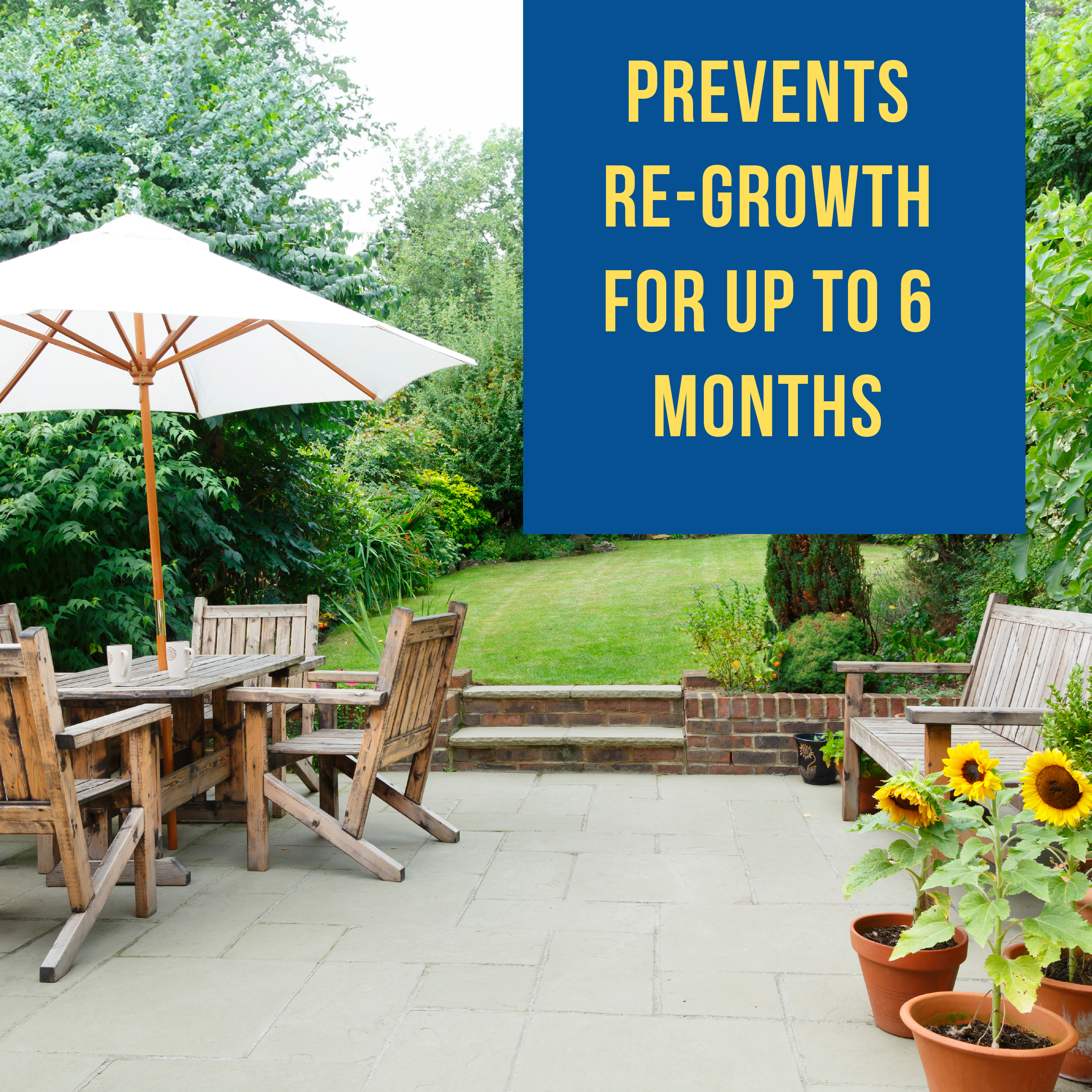 Professional Strength Fungicidal Wash Green Algae & Mould Remover