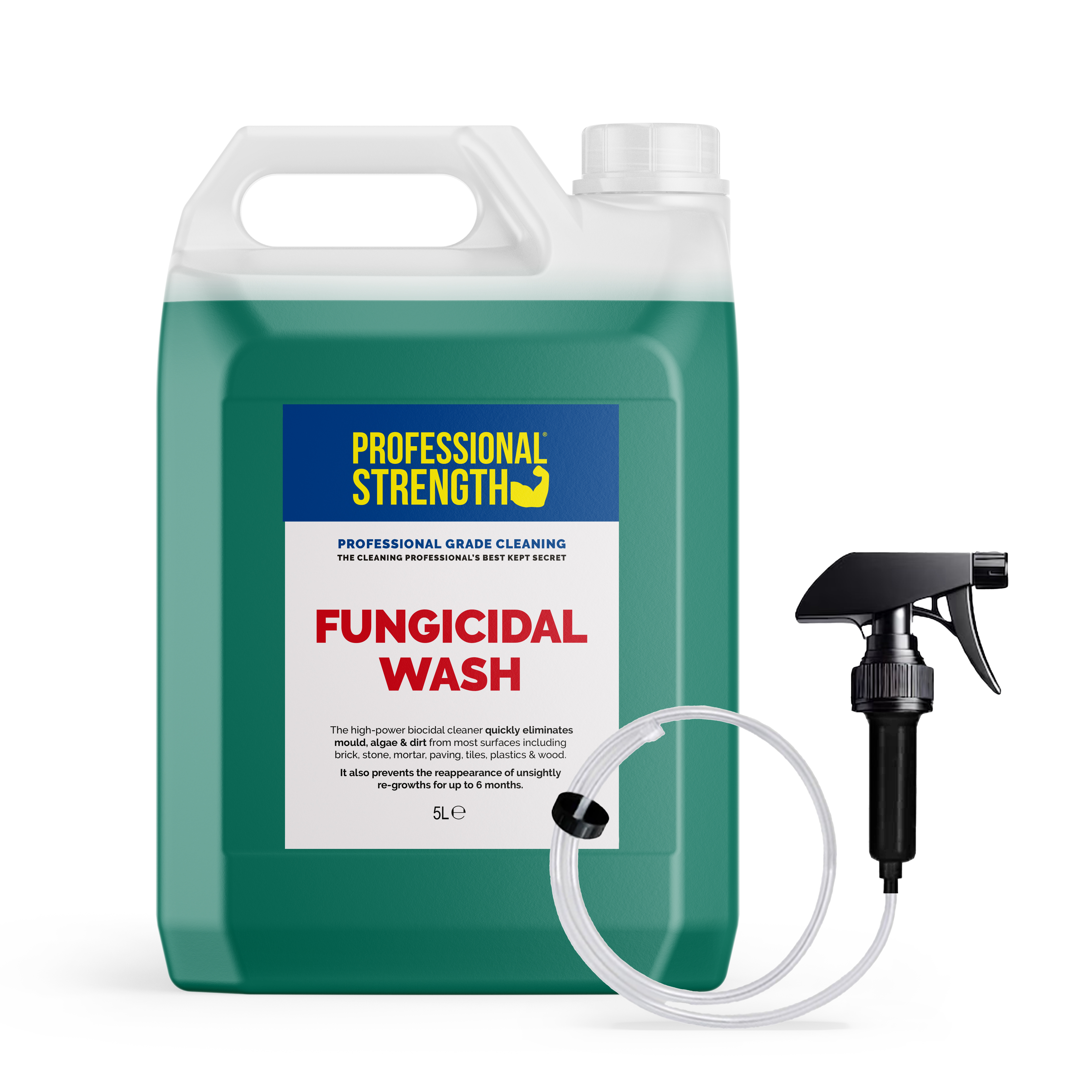 Professional Strength Fungicidal Wash Green Algae & Mould Remover
