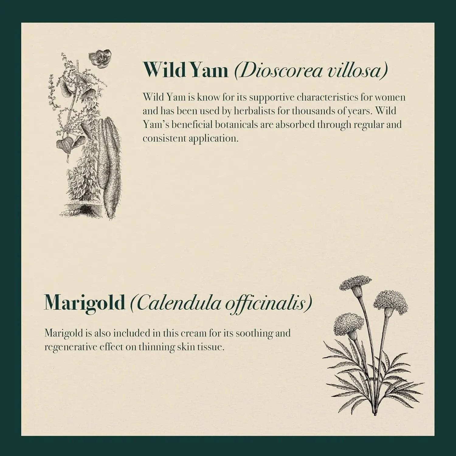 Napiers Wild Yam Skin Cream