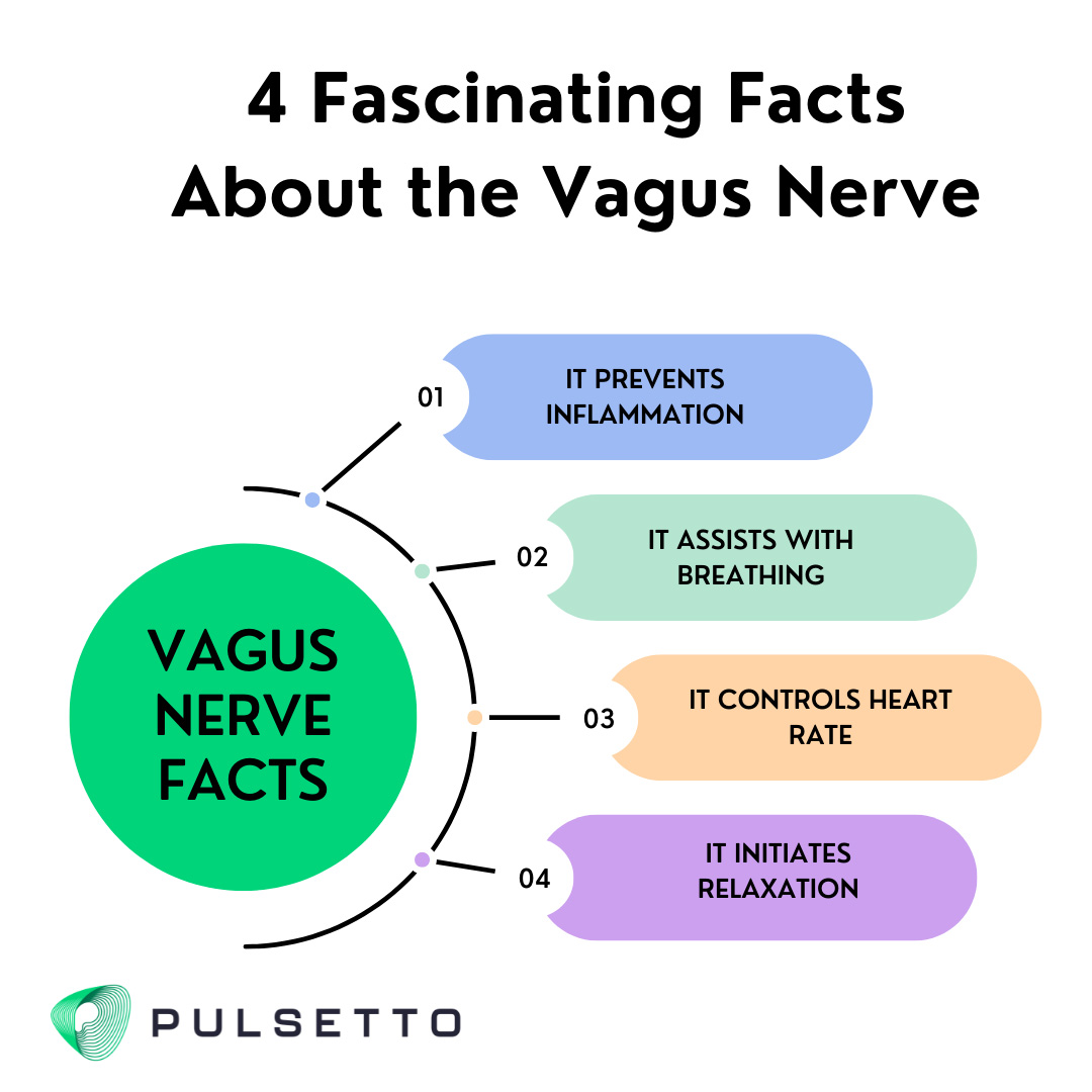 Pulsetto Vagus Nerve Stimulator