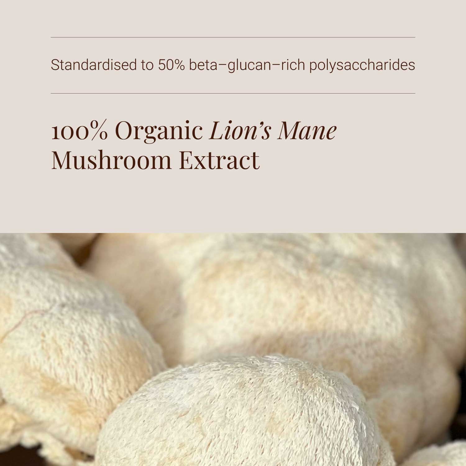 KIKI Health Organic Lion's Mane Mushroom Extract 400mg
