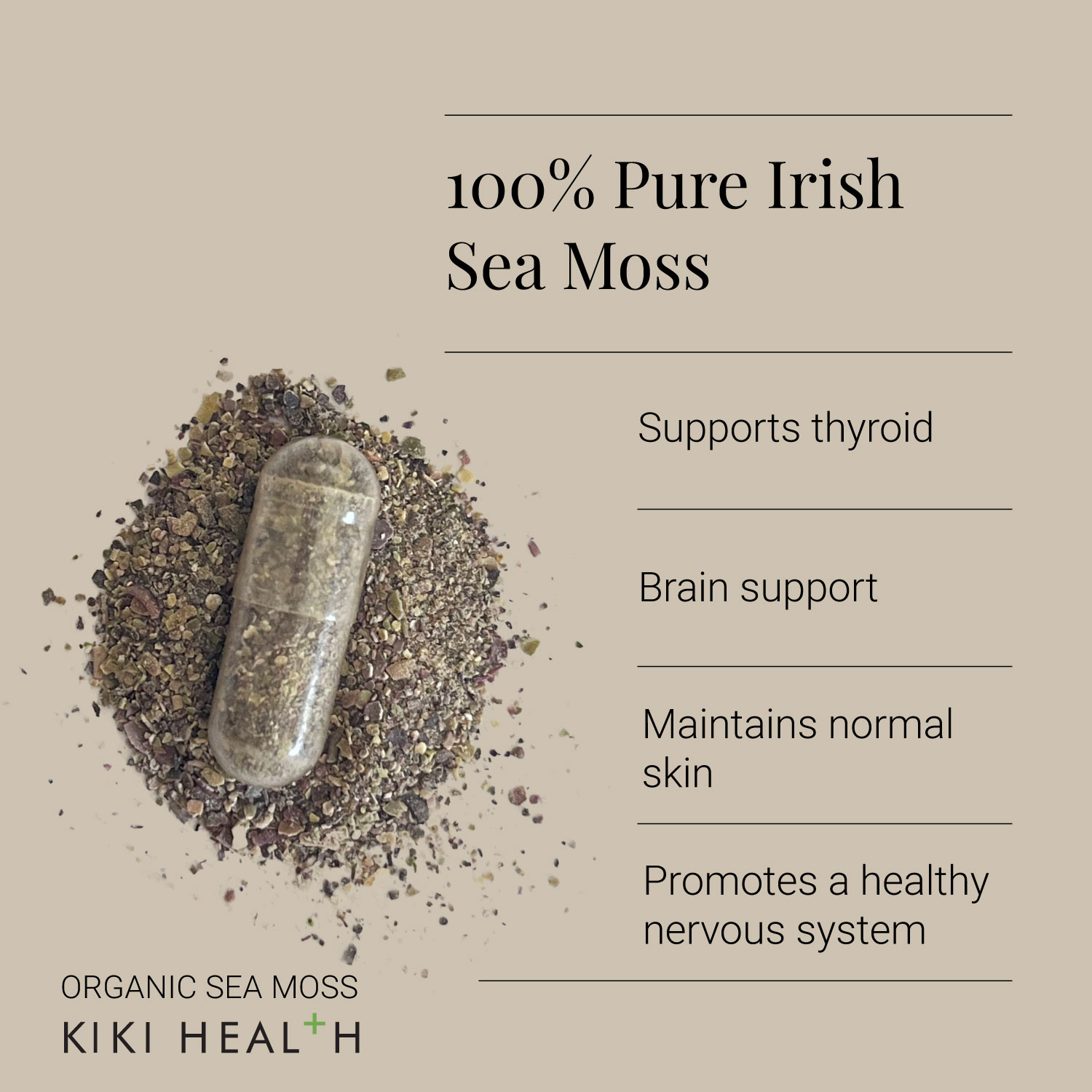 Sea moss capsule placed on dried sea moss pieces with informational text, used to illustrate the ingredient format of KIKI Health Organic Irish Sea Moss.
