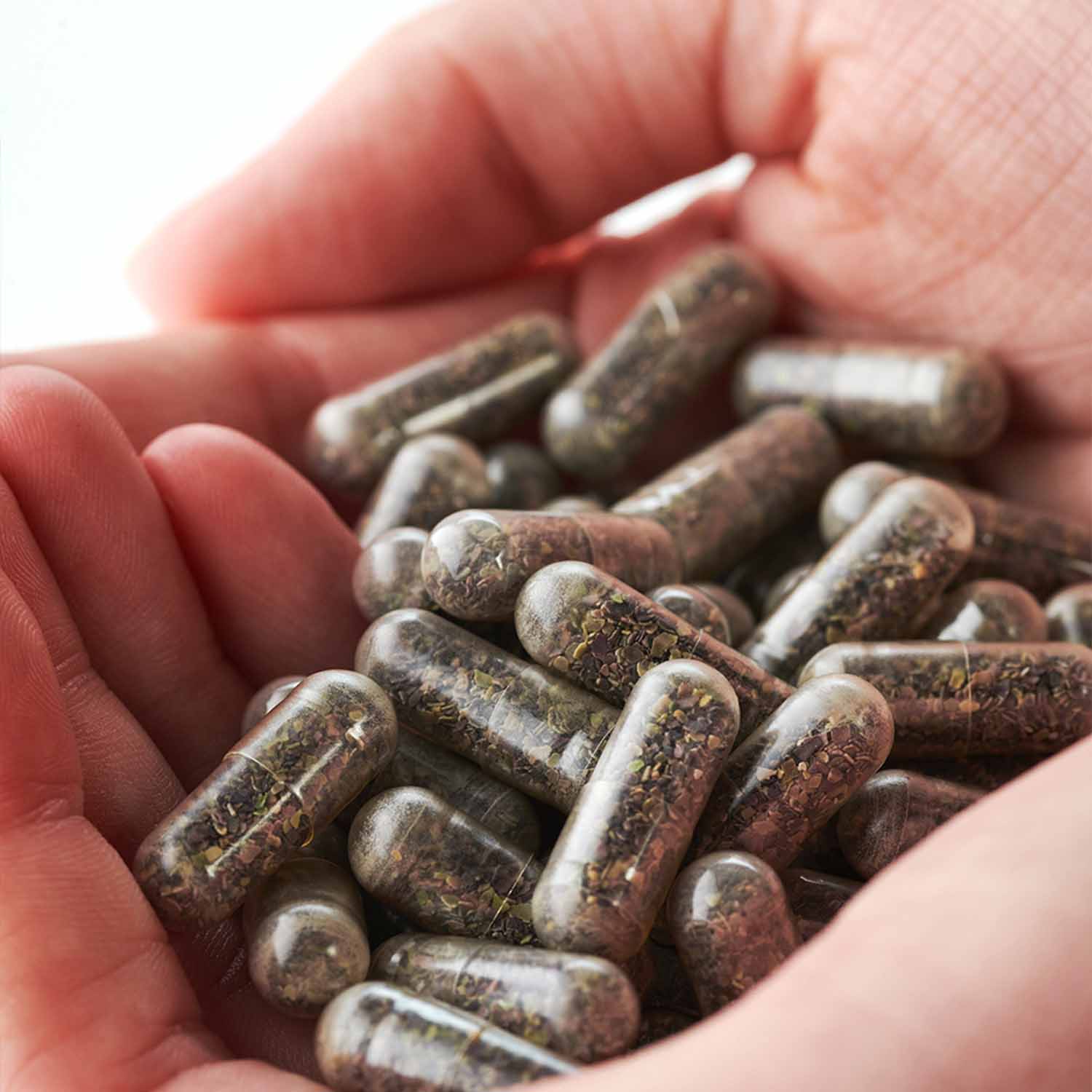 Hand holding multiple transparent capsules filled with dried sea moss, showing the natural texture of KIKI Health Organic Irish Sea Moss capsules.