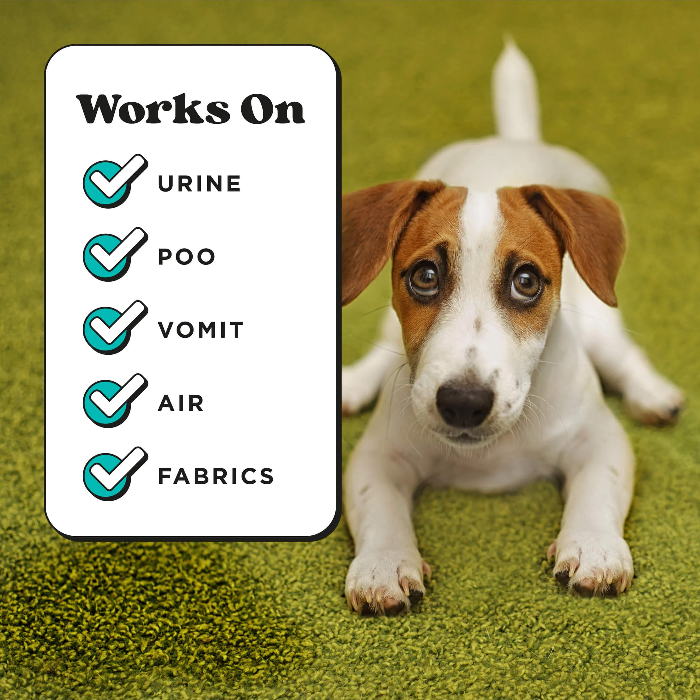 Pet Pourri Pawsitively Fresh Room Spray