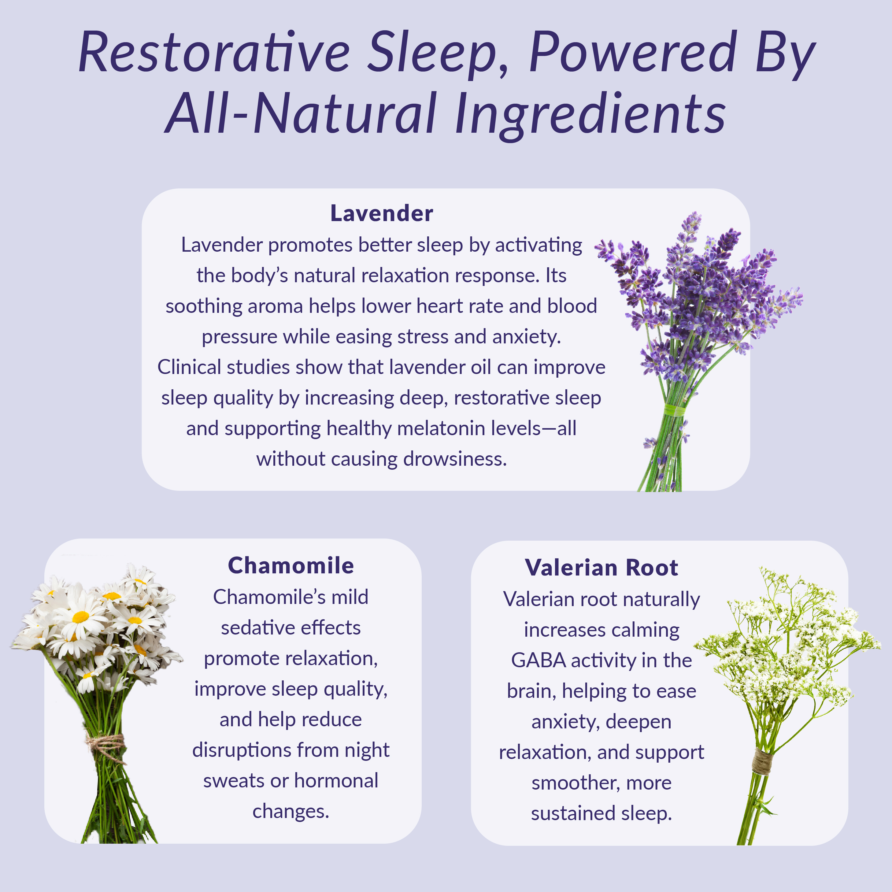 Sleeply Deeply Build Your Own Sleep Well Gift Set