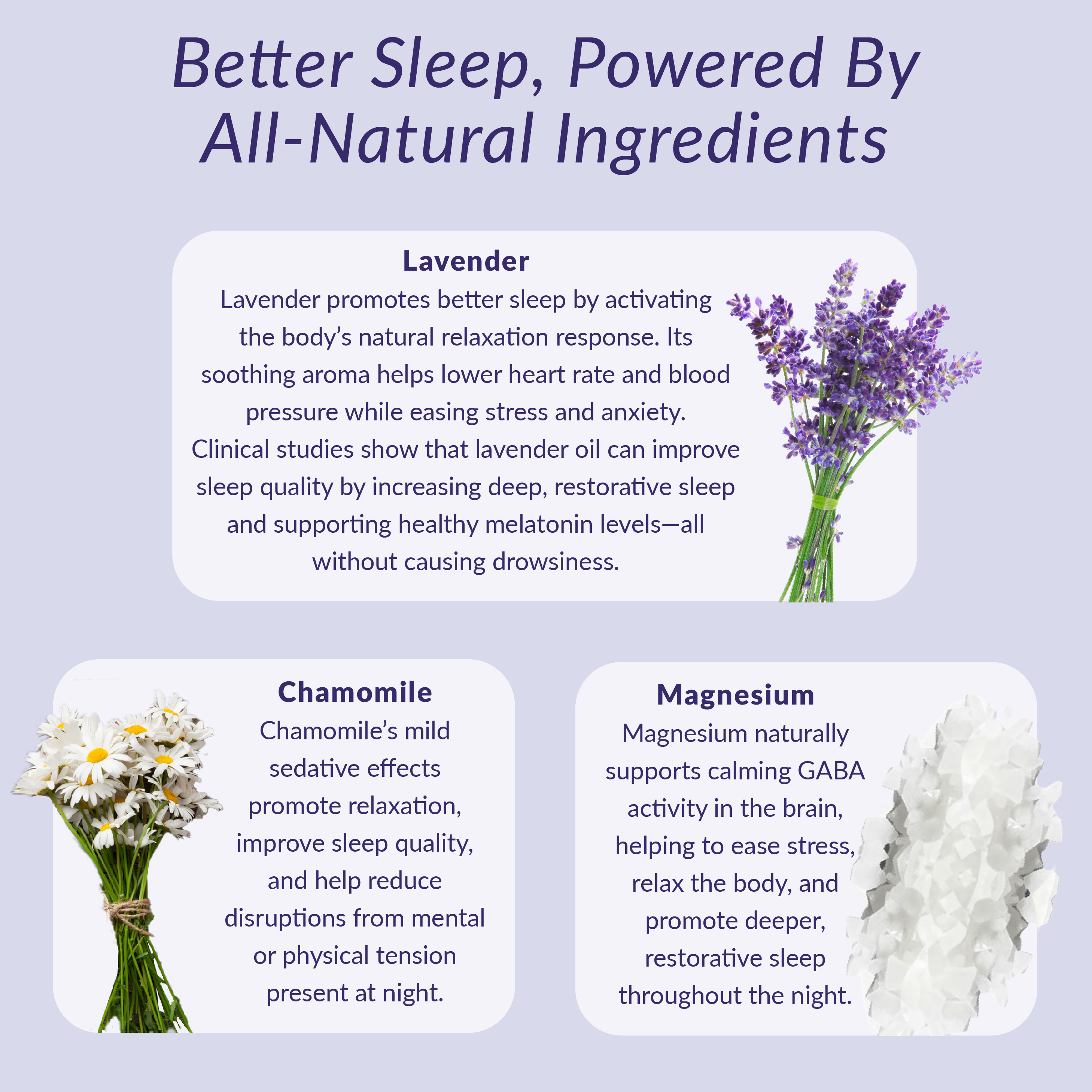 Sleeply Deeply Lavender & Chamomile Magnesium Sleep Cream