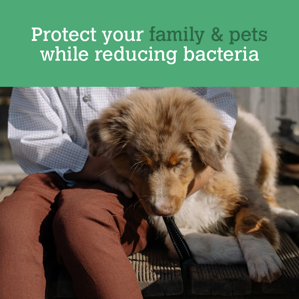 Professional Strength Outdoor Path & Patio Cleaner Concentrate