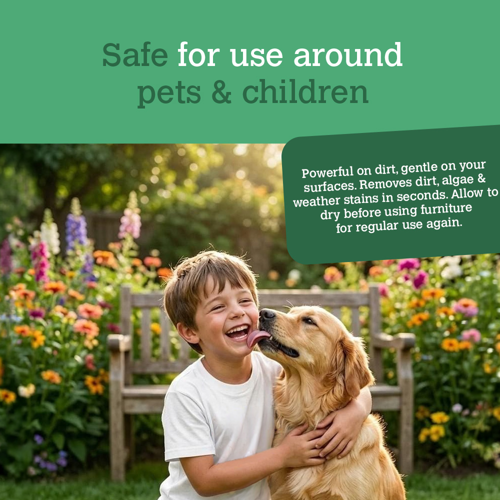 Professional Strength Outdoor Furniture Cleaner