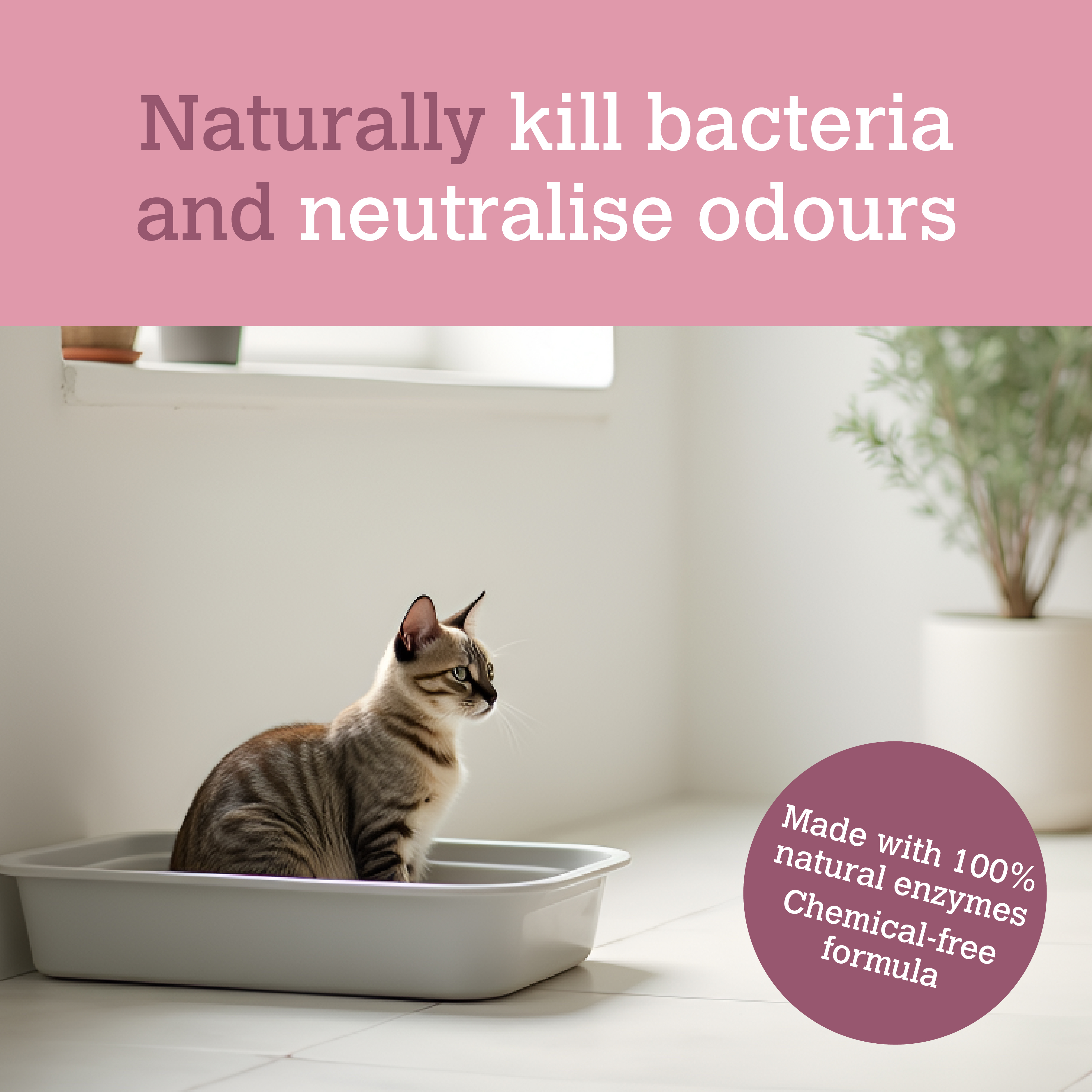 Professional Strength Probiotic Cat Litter Odour Destroyer