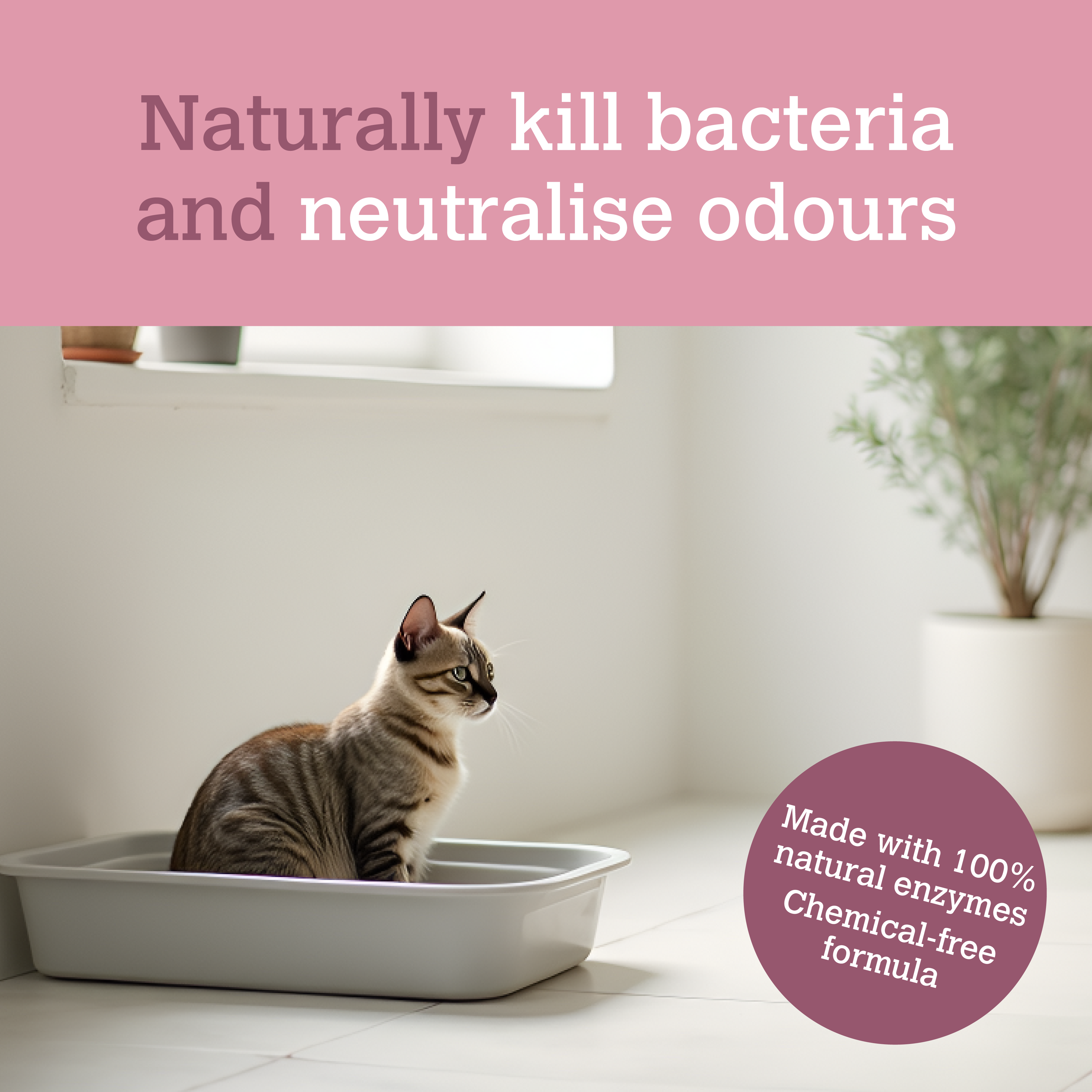 Professional Strength Ultimate Probiotic Cat Care Pack