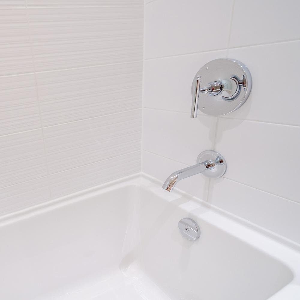 Professional Strength Mould & Mildew Remover - Bleach Free Formula 2